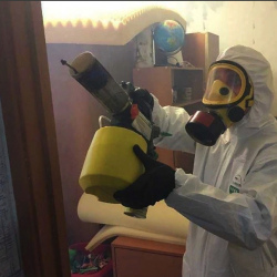 Уничтожение клопов в квартире. Белорусская